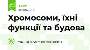 Хромосоми, їхні функції та будова