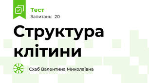 Структура клітини