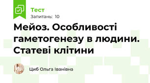 Мейоз. Особливості гаметогенезу в людини. Статеві клітини