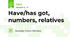 Have/has got,  numbers, relatives