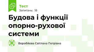Будова і функції опорно-рухової системи