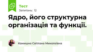 Ядро, його структурна організація та функції. 