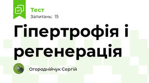 Гіпертрофія і регенерація