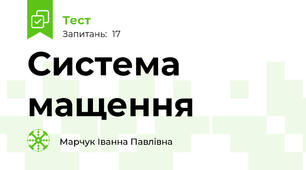 Система мащення