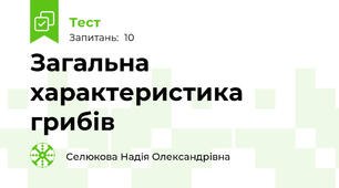 Загальна характеристика грибів