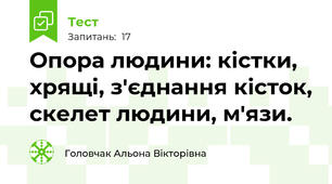 Опора людини: кістки, хрящі, з'єднання кісток, скелет людини, м'язи.