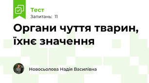 Органи чуття тварин, їхнє значення