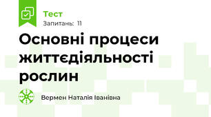 Основні процеси життєдіяльності рослин