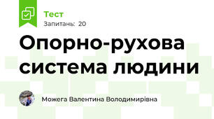 Опорно-рухова система людини