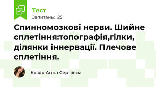 Спинномозкові нерви. Шийне сплетіння:топографія,гілки, ділянки іннервації. Плечове сплетіння.