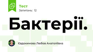 Бактерії.