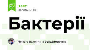 Бактерії
