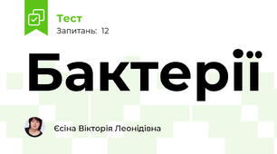 Бактерії