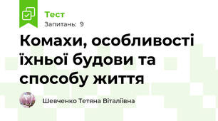 Комахи, особливості їхньої будови та способу життя