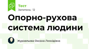 Опорно-рухова система людини