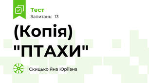 (Копія) "ПТАХИ"