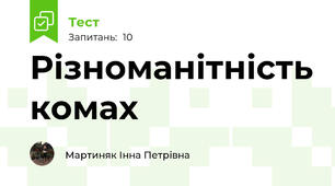 Різноманітність комах