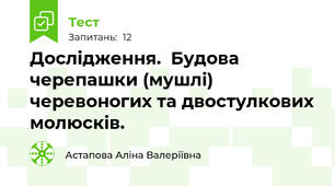 Дослідження.  Будова черепашки (мушлі) черевоногих та двостулкових молюсків.