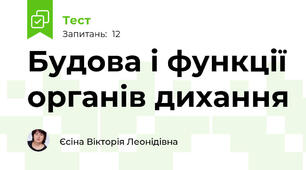 Будова і функції органів дихання
