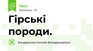 Гірські породи.