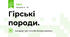 Гірські породи.