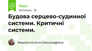 Будова серцево-судинної системи. Критичні системи.