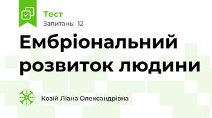 Ембріональний розвиток людини