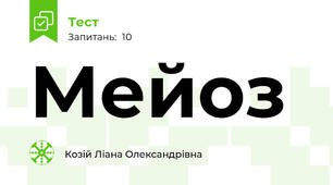 Мейоз