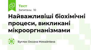 Найважливіші біохімічні процеси, викликані мікрооргнанізмами