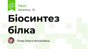 Біосинтез білка