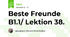 Beste Freunde B1.1/ Lektion 38.