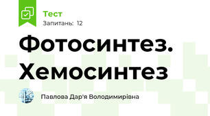 Фотосинтез. Хемосинтез