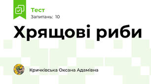 Хрящові риби
