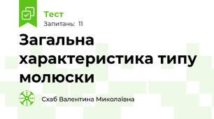Загальна характеристика типу молюски