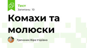 Комахи та молюски