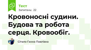 Кровоносні судини. Будова та робота серця. Кровообіг. 