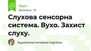 Слухова сенсорна система. Вухо. Захист слуху.