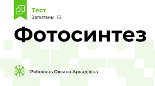 Фотосинтез