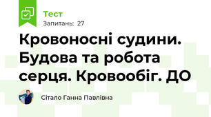 Кровоносні судини. Будова та робота серця. Кровообіг. ДО