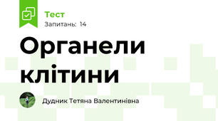 Органели клітини