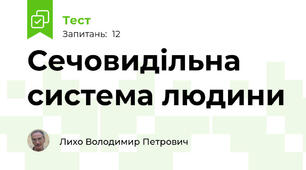 Сечовидільна система людини