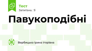 Павукоподібні 