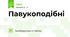 Павукоподібні 