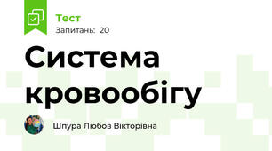 Система кровообігу