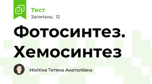 Фотосинтез. Хемосинтез