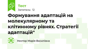 Формування адаптацій на молекулярному та клітинному рівнях. Стратегії адаптацій"