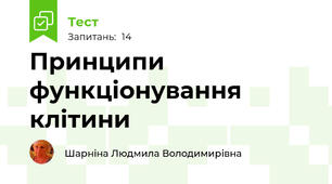 Принципи функціонування клітини