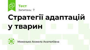 Стратегії адаптацій у тварин