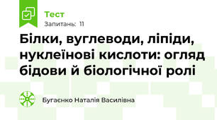 Білки, вуглеводи, ліпіди, нуклеїнові кислоти: огляд бідови й біологічної ролі 