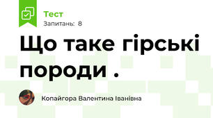 Що таке гірські породи .